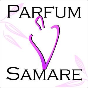 Интернет-магазин "ParfumVsamare" - Город Самара ЛОГО.jpg