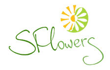 SFlowers - Город Самара logo.gif